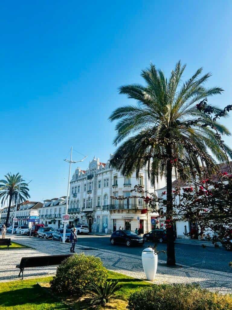 Gezellige straat met palmboom, historische gebouwen en terras bij Cafe Velo in de zon.