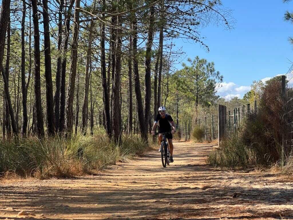 Fietser op een rustige bosweg met bomen en blauwe lucht.