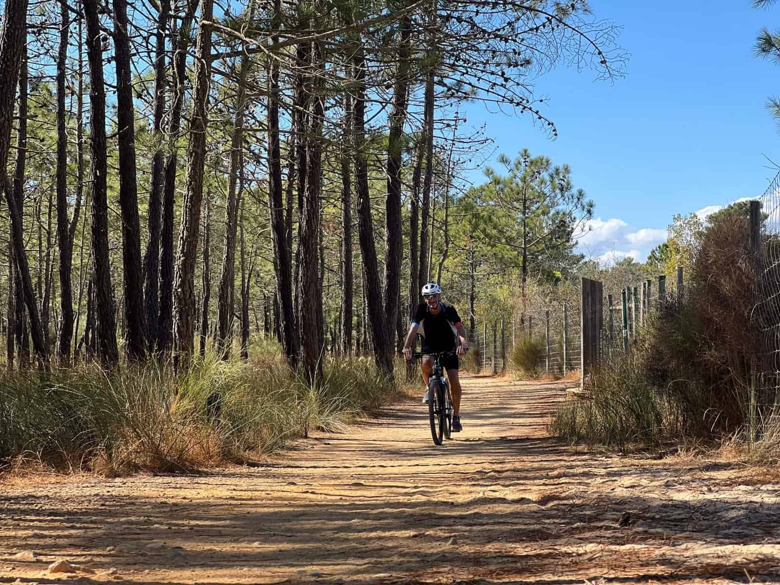 Fietser op een rustige bosweg met bomen en blauwe lucht.