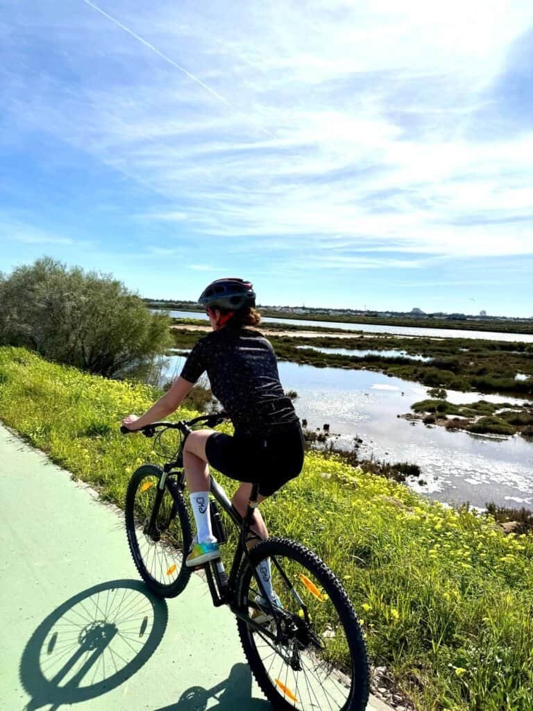 Cyclist enjoying a scenic ride on a sunny day near water and lush greenery.