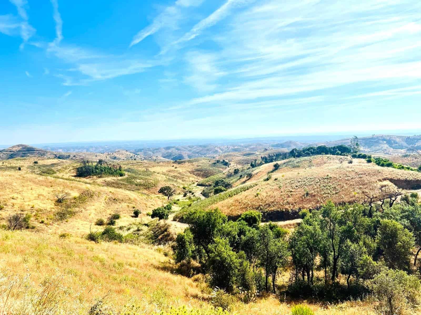Hills and rolling landscape viewed during a scenic cycling ride from Café Velo.