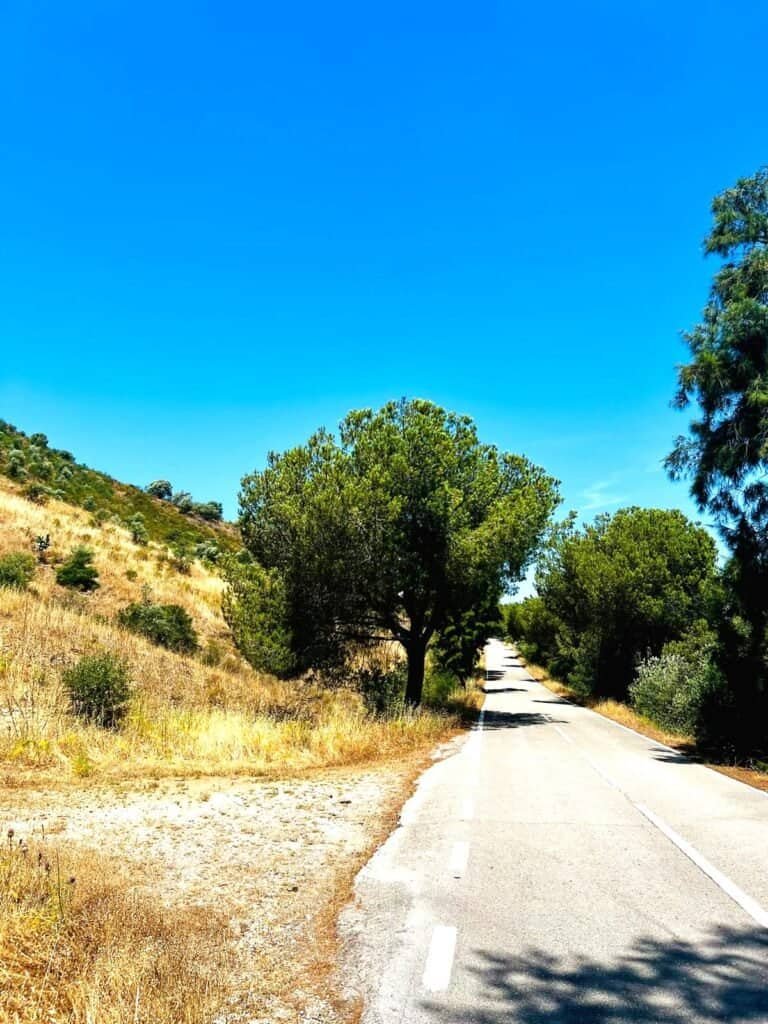 Beautiful rural landscape with a quiet road surrounded by trees and hills. Perfect for scenic bike r.