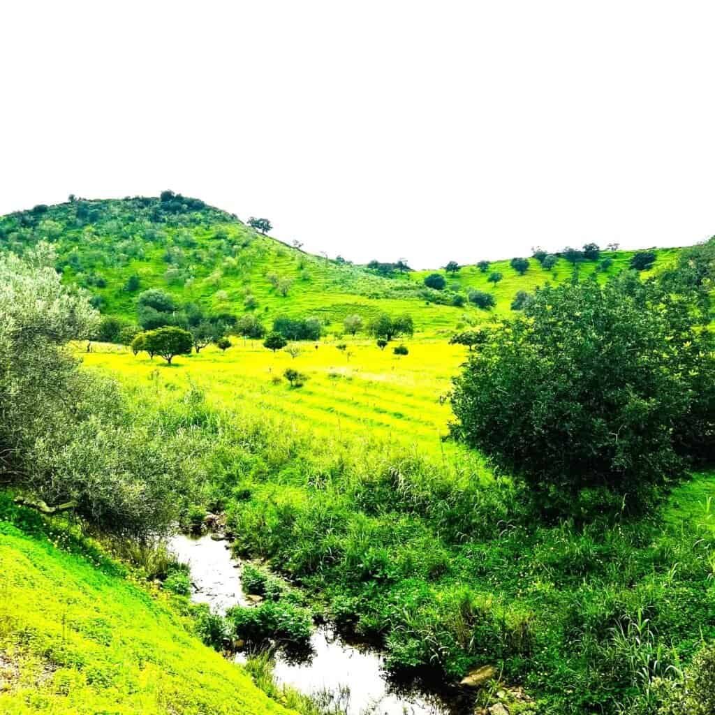 Beautiful green landscape with rolling hills and a small stream, perfect for cycling and enjoying na.
