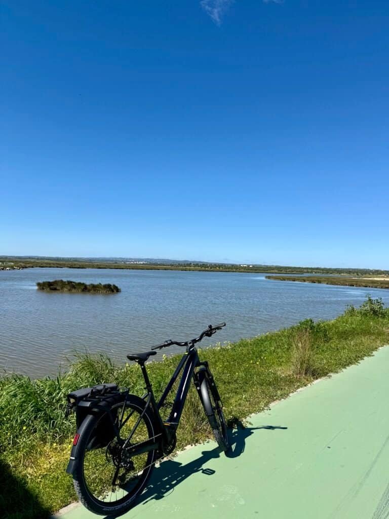 Algarve cycling rides: scenic lakeside trail with bike, lush greenery, and clear blue sky.